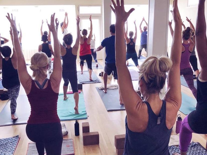 Willow Street Yoga: Inclusive Yoga Studio in DMV